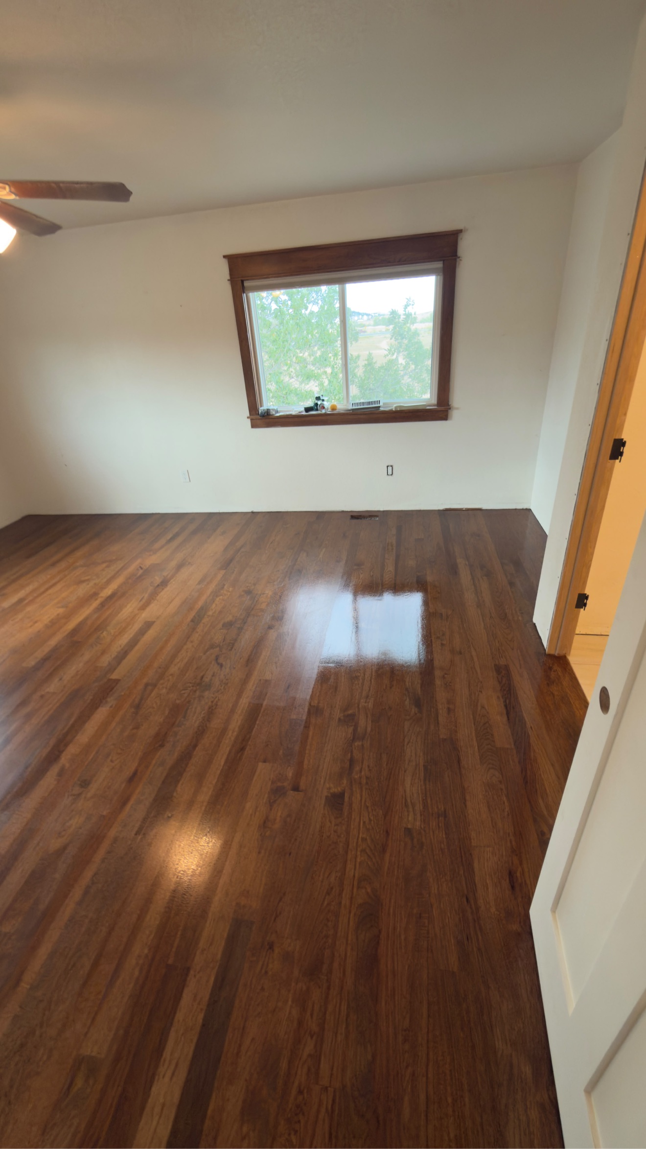 Refinished wood floor with a glossy dark stain in a residential room
