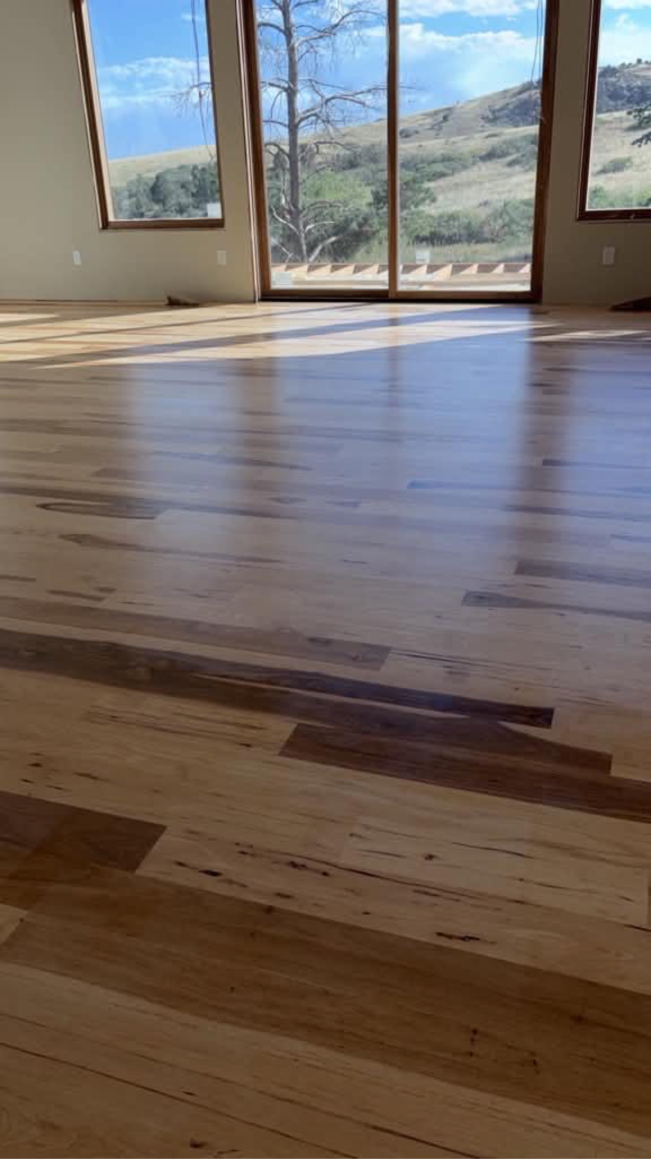 Newly sanded and finished solid hickory floor in a sunlit room